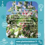 Plantons le décor ! 