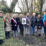 Un arbre de la laïcité à l’école Jean Ferrat