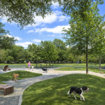 La NOUVELLE Place Pasteur